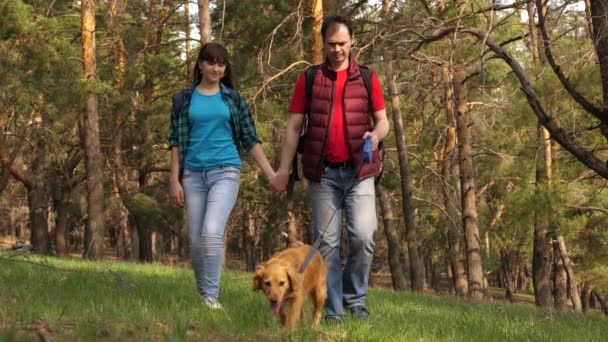 Ο εκτροφέας με ένα σκύλο και μια ενήλικη κόρη περπατούν. Η οικογένεια ταξιδεύει με ένα σκύλο στο δάσος. Ταξιδιώτες, πατέρας, κόρη, κατοικίδιο. Κοινό έργο μιας φιλικής οικογένειας. Η έννοια της αθλητικής οικογενειακής αναψυχής σε — Αρχείο Βίντεο