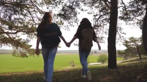 Trabalho em equipe Caminhante meninas levantando as mãos para cima, comemorando a vitória e desfrutar da paisagem. mulheres de férias viajam pela floresta com uma mochila, levantam as mãos para o topo . — Vídeo de Stock