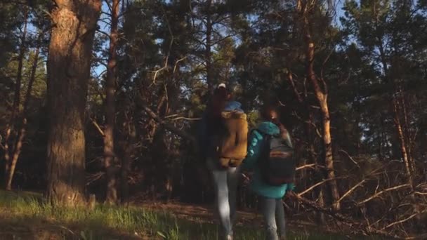 Lykkelige familierejser. mor og datter rejsende gå gennem skoven med en rygsæk. Vandrer Girs i en fyrreskov. Turisten nyder livet og naturen. ferie eventyr rejse . – Stock-video