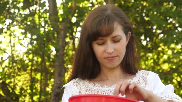 Chica feliz comiendo fresas en verano en el jardín. Delicioso postre de fresa. hermosa chica come fresa roja de una taza y sonríe. Dieta de vitaminas y bayas para mujeres . — Vídeos de Stock