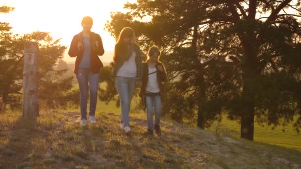 Hiker Girl, las chicas viajan con mochilas por el bosque. Hiker Girl. familia camina en el bosque. Las chicas viajan, atraviesan el bosque. Una familia feliz de vacaciones. concepto de turismo deportivo . — Vídeos de Stock