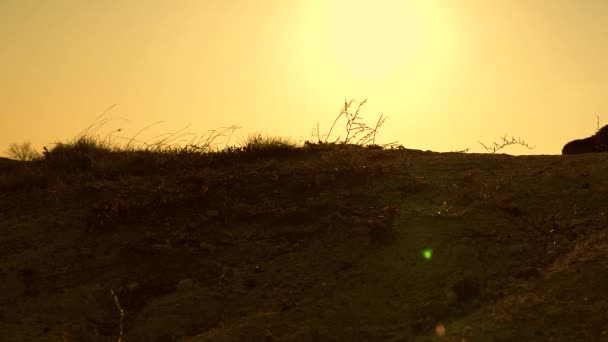 Jambes du voyageur marchent le long du sommet de la roche dans les rayons du soleil. Touriste passe par le col . — Video