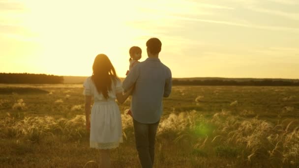 お父さんとお母さんは、フィールドの夕日の光の中で彼女の腕の中で彼女の小さな娘と一緒に歩きます。太陽の下で娘と遊ぶ家族。両親の手に座っている幸せな子供。赤ちゃんと一緒に歩く家族. — ストック動画
