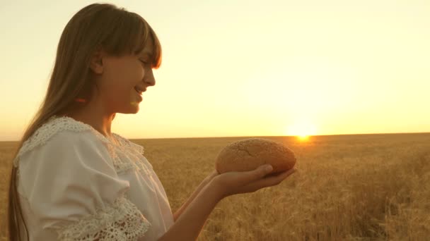 在夕阳的映照下,一个女孩手中的面包在麦田里。可口的面包在手掌上。新鲜的黑麦面包在成熟的耳朵与谷物。农业概念。烘焙产品 — 图库视频影像