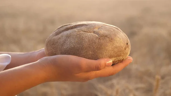 Pan en las manos de las niñas sobre el campo de trigo. sabroso pan en las palmas de las manos. pan de centeno fresco sobre espigas maduras con grano. concepto de agricultura. Productos de panadería — Foto de Stock