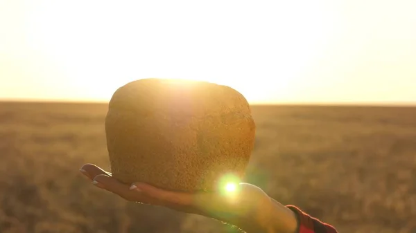 太陽の光の中で小麦畑の上に女性の手でパン。手のひらに美味しいパンを穀物と成熟した耳の上に新鮮なライ麦パン。農業の概念。ベーカリー製品 — ストック写真
