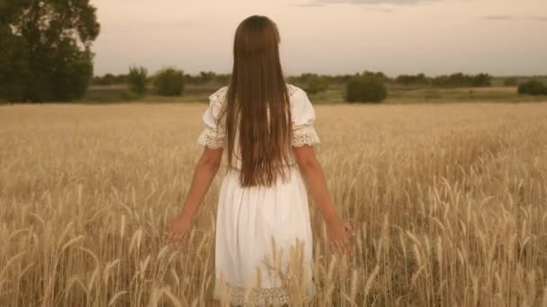 Mutlu kız sarı buğday bir alan üzerinde yürüyor ve kendi elleriyle buğday kulakları dokunur. Yavaş hareket. Kız sahada seyahat ediyor. Eko-turizm konsepti. — Stok video