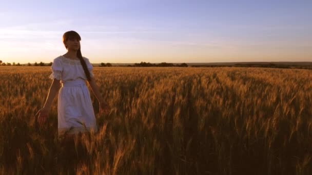 美丽的女孩拿着黄色的小麦穿过田野，用手摸着麦子的耳朵。慢动作。女孩在田里旅行。生态旅游的概念. — 图库视频影像