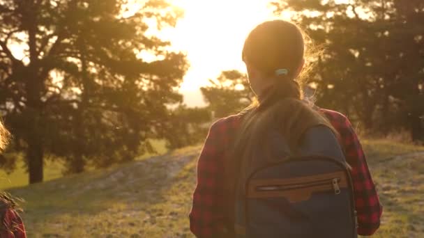 Ragazza escursionista. Due turisti adolescenti viaggiano con gli zaini attraverso il bosco. Le ragazze vanno a fare escursioni in cerca di avventure. Il concetto di turismo sportivo. Viaggia in vacanza. Vacanze estive — Video Stock