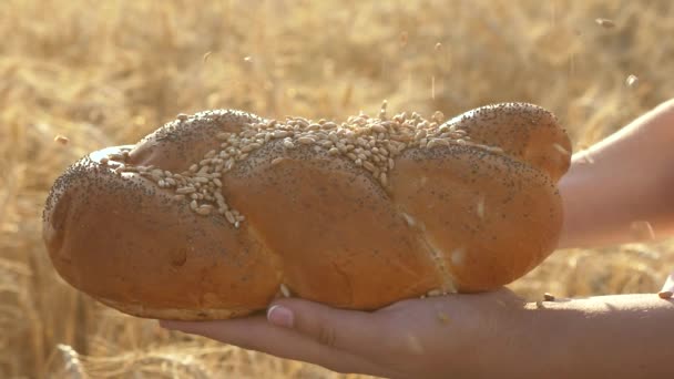 Tarwekorrels vallen op brood in handen van het meisje, over een veld van tarwe. Slow Motion. tarwe sypytsya op heerlijk brood met poppy zaden. lekker brood op de palmen. roggebrood over de oren van maïs — Stockvideo