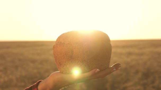 Välsmakande limpa bröd på handflatorna. bröd i kvinnliga händer över ett vetefält i solens strålar. färskt rågbröd över mogna öron med korn. jordbruks koncept. bageriprodukter — Stockvideo