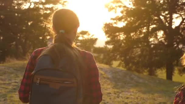 Hiker Girl. Dos turistas adolescentes viajan con mochilas por el bosque. Las niñas van de excursión en busca de aventuras. El concepto de turismo deportivo. Viaja de vacaciones. Vacaciones de verano — Vídeos de Stock