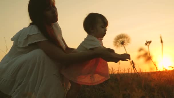 Figlia e madre giocano nel parco al tramonto. bambino allunga le mani a un dente di leone. famiglia felice viaggia sul prato estivo. lavoro di squadra madre e figlia. bambino impara il mondo delle armi . — Video Stock