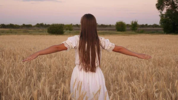 행복한 소녀는 노란 밀밭을 가로 질러 걷고 자신의 손으로 밀의 귀를 만진다. 슬로우 모션. 소녀는 필드에 여행. 생태 관광의 개념. — 스톡 사진