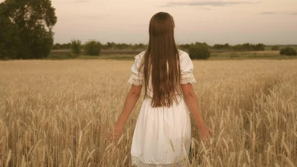 행복한 소녀는 노란 밀밭을 가로 질러 걷고 자신의 손으로 밀의 귀를 만진다. 슬로우 모션. 소녀는 필드에 여행. 생태 관광의 개념. — 스톡 사진