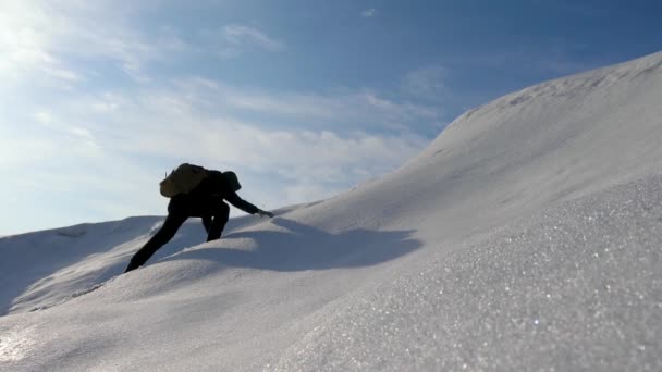 Trabajo en equipo deseo de ganar. Los escaladores suben a la cima de una montaña nevada en Alaska. viajeros en el Ártico en una colina en los brillantes rayos del sol. Siberia concepto de turismo deportivo . — Vídeos de Stock