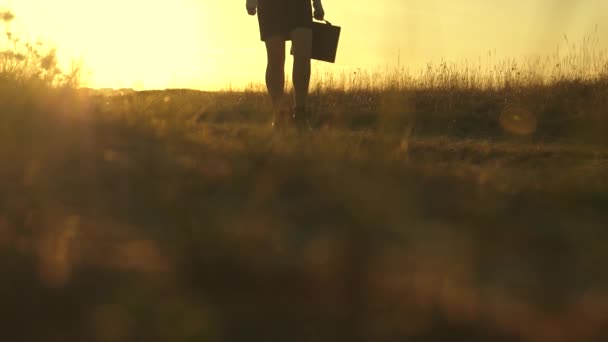 Gambe femminili sexy di una donna d'affari stanno camminando lungo una strada di campagna. donna d'affari che cammina lungo una strada di campagna con una valigetta in mano. Donna contadina ispeziona la terra al tramonto . — Video Stock