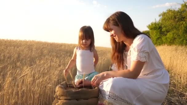 Espiga de trigo en la mano de un niño. madre e hijo pequeño están jugando con el grano en la bolsa en un campo de trigo. feliz madre agricultora está jugando con su hijo pequeño, hija en el campo. Concepto agrícola . — Vídeo de stock