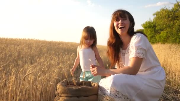 幸せな母農家は、フィールドで小さな息子、娘と遊ぶ。母と小さな子供は小麦畑の袋の中で穀物で遊んでいます。農業の概念. — ストック動画