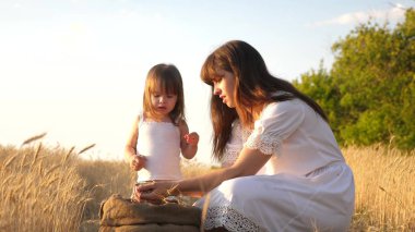 çocuğun elinde buğday tanesi. anne ve küçük çocuk bir buğday tarlasında torba içinde tahıl ile oynuyorlar. bebek kız mutlu anne çiftçi küçük oğlu, tarlada kızı ile oynar. Tarım kavramı.