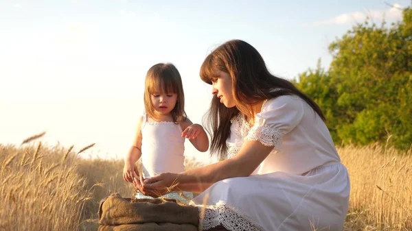 çocuğun elinde buğday tanesi. anne ve küçük çocuk bir buğday tarlasında torba içinde tahıl ile oynuyorlar. bebek kız mutlu anne çiftçi küçük oğlu, tarlada kızı ile oynar. Tarım kavramı.