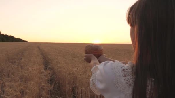 Delizioso pane sulle palme di una giovane donna. pagnotta di pane in mani di ragazza sopra campo di grano in raggi di tramonto. primo piano. Delizioso pane in mano porta giovane bella donna su un campo di grano . — Video Stock