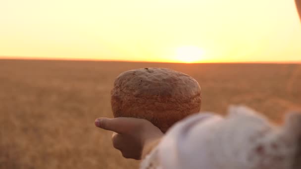 夕焼けの光の中で小麦畑の上の女の子の手にパンのパン。クローズ アップ。手に美味しいパンは、小麦畑に若い美しい女性を運びます。手のひらに美味しいパン. — ストック動画