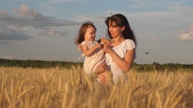 anne elinde buğday ile spikelets tutun alanda bebek ile yürür. Anne ve küçük kızı olgun buğday tarlasında yürüyorlar. mutlu aile seyahatleri. annemin kollarında bebek. mutlu aile kavramı.
