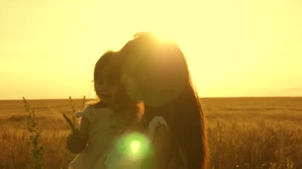 Matka idzie z dzieckiem w polu. Córka trzyma w ręku ucho pszenicy. Mama i mała córka chodzą po polu dojrzałej pszenicy. szczęśliwych podróży rodzinnych. dziecko w jej ręce Mamo Mamo wychodzi. — Wideo stockowe
