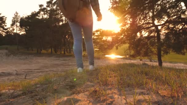 Chica viaja con mochilas al atardecer. Una mujer va de camping. Hiker Girl. Descanso libre. Senderismo. Vacaciones. Fin de semana por la ciudad. Superar obstáculos y buscar aventuras . — Vídeo de stock