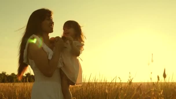 Mãe e filha estão brincando em um campo com trigo maduro ao pôr-do-sol. Feliz maternidade. Uma criança pequena está cheia de risos nos braços da mãe. . — Vídeo de Stock