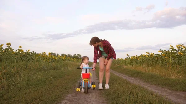 Mutter bringt Tochter bei, auf einer Landstraße in einem Sonnenblumenfeld Fahrrad zu fahren. ein kleines Kind lernt Fahrrad fahren. Mutter spielt mit ihrer kleinen Tochter. das Konzept der glücklichen Kindheit. — Stockfoto