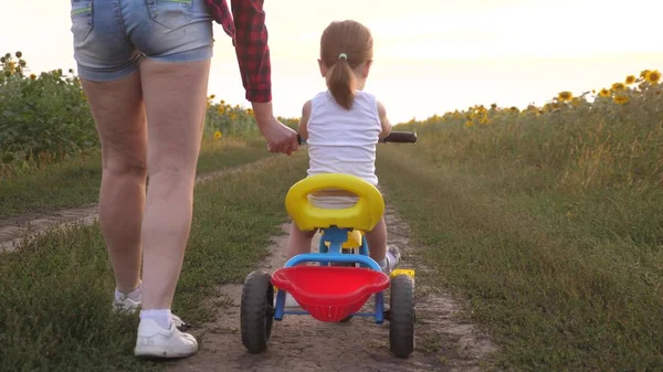 Mutter bringt Tochter bei, auf einer Landstraße in einem Sonnenblumenfeld Fahrrad zu fahren. ein kleines Kind lernt Fahrrad fahren. Mutter spielt mit ihrer kleinen Tochter. das Konzept der glücklichen Kindheit. — Stockfoto