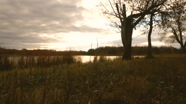 Hermoso cielo con nubes sobre el parque de otoño y el lago. En cámara lenta. parque en el otoño. árbol con follaje amarillo junto al lago . — Vídeos de Stock