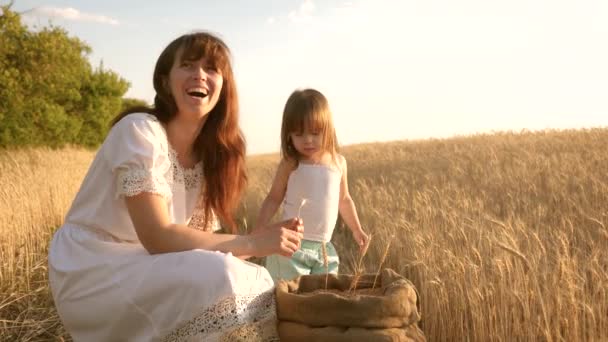 Ähre in der Hand eines Kindes. Mutter und kleines Kind spielen mit Getreide im Sack auf einem Weizenfeld. Die glückliche Bäuerin spielt mit dem kleinen Sohn, der Tochter auf dem Feld. Landwirtschaftskonzept. — Stockvideo