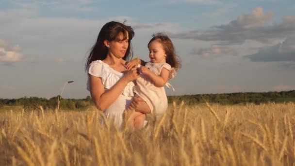 Kleine dochter kusjes moeder op een tarwe veld. gelukkige familie reist. baby in de armen van de moeder. moeder wandelingen met de baby in het veld Hold spikeletten met tarwe in de hand. Gelukkig familieconcept. — Stockvideo