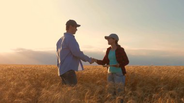 Çiftçiler erkek ve kadın buğday alanında bir tablet ile çalışan, gün batımı ışığında. işadamları tarımda gelir çalışmaları. tablet ile agronomists alanında buğday mahsulü çalışma. tarım kavramı.