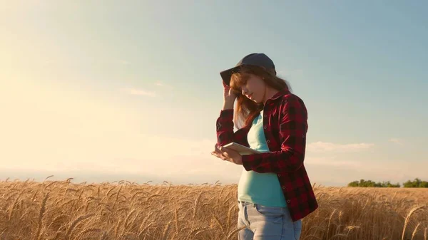 Vrouw agronoom met een Tablet bestudeert het graangewas in het veld. ondernemer op het gebied van de planning van zijn inkomen. Boer meisje werkt met een Tablet in een tarwe veld, plant een graangewas. landbouw concept — Stockfoto