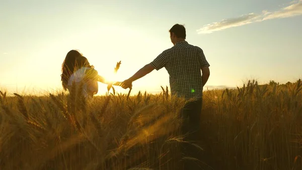 Händchenhaltend gehen Mama und Papa auf einem Weizenfeld spazieren. Vater Tochter und Mutter spielen auf dem Feld. Zeitlupe. glückliche junge Familie mit Kind geht auf Weizenfeld. — Stockfoto