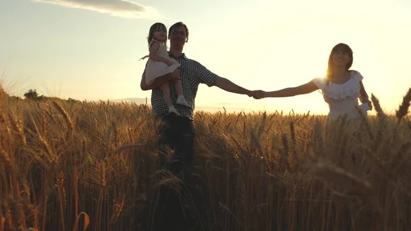 Eine glückliche junge Familie mit Kind geht auf einem Weizenfeld spazieren. Vater Tochter und Mutter spielen auf dem Feld. Mama und Papa gehen händchenhaltend über ein Weizenfeld. Zeitlupe. — Stockfoto