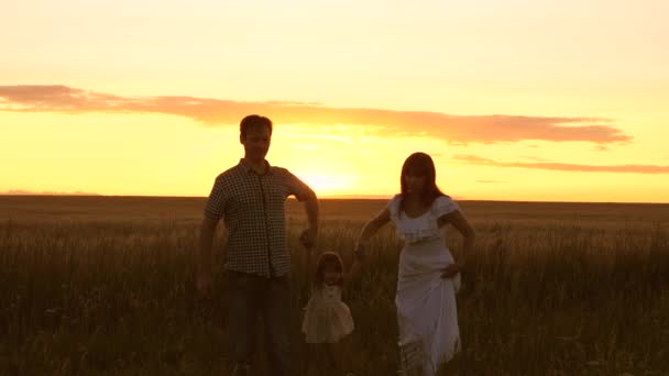 Мама с папой держатся за руки и ходят по пшеничному полю на закате. Отец, дочь и мать играют на поле. Счастливая молодая семья с ребенком гуляет по пшеничному полю. Счастливая семья . — стоковое видео