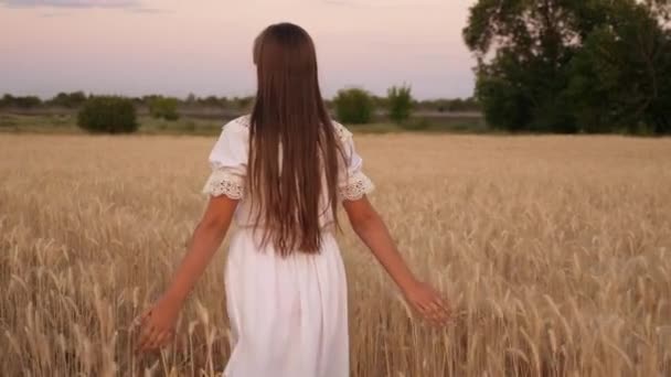 Menina caminha através de um campo de trigo amarelo e toca as orelhas de trigo com suas próprias mãos. Movimento lento. menina viaja no campo. O conceito de ecoturismo . — Vídeo de Stock