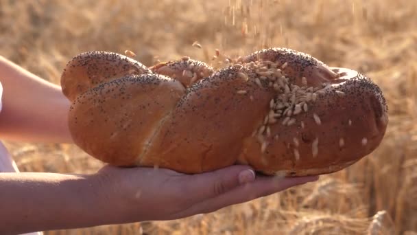 谷物倒在一个美味的面包上,有罂粟种子。慢动作。小麦粒落在一个女孩手中的面包上,落在一片麦田里。可口的面包在手掌上。玉米耳朵上的黑麦面包 — 图库视频影像