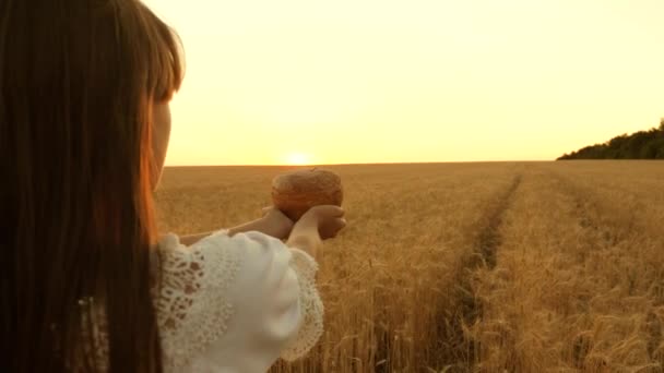 Lahodný chléb v rukou nosí mladou krásnou ženu na pšeničném poli. Close-up. lahodný chléb na dlaních mladé ženy. Bochníček chleba v rukou dívky nad pšeničným polem v paprscích slunce. — Stock video