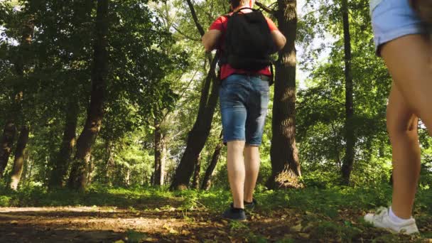 Apa és lánya, a gyermekek utazási parkban nyáron. csapatmunka utazók. Családi nyaraláson utazik az erdőben. barátok-turisták megy kemping az erdőben. Emberek séta a fák és a fű. — Stock videók