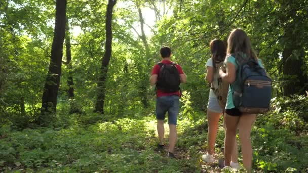 Família em férias viaja na floresta. pai e filhas, as crianças viajam no parque no verão. amigos-turistas vão acampar na floresta. As pessoas atravessam árvores e relva. viajantes de trabalho em equipe — Vídeo de Stock