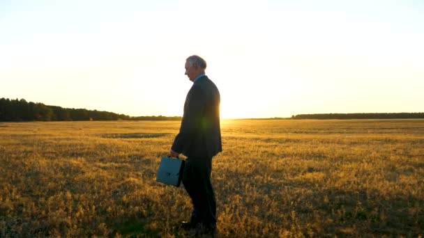 Granjero camina a través del campo. agrónomo caminando en el campo por la noche. hombre de negocios camina por el parque bajo el sol. hombre de negocios con maletín negro caminando a través del campo en los rayos del sol brillante . — Vídeo de stock