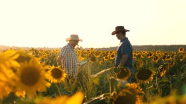 iş adamları el sıkışıyor. bir ayçiçeği ile alanda çiftçiler. takım çalışması ve zafer. Agronomists erkek ozamatrivayut çiçekli ve mısır koçanları. mısır ile tablet inceleme alanı ile işadamları.