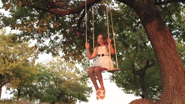 Giovane ragazza che oscilla su un'altalena sotto un albero al sole, giocando con i bambini. primo piano. Divertimento in famiglia nella natura. bambino cavalca un'altalena corda su un ramo di quercia nel parco il tramonto. ragazza ride, gioisce . — Video Stock