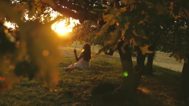 A criança monta um balanço de corda em um ramo de carvalho no pôr do sol de parque. Ri menina, alegra-se. jovem balançando em um balanço sob uma árvore ao sol, brincando com as crianças. Floresta funin família, na natureza. Movimento lento — Vídeo de Stock